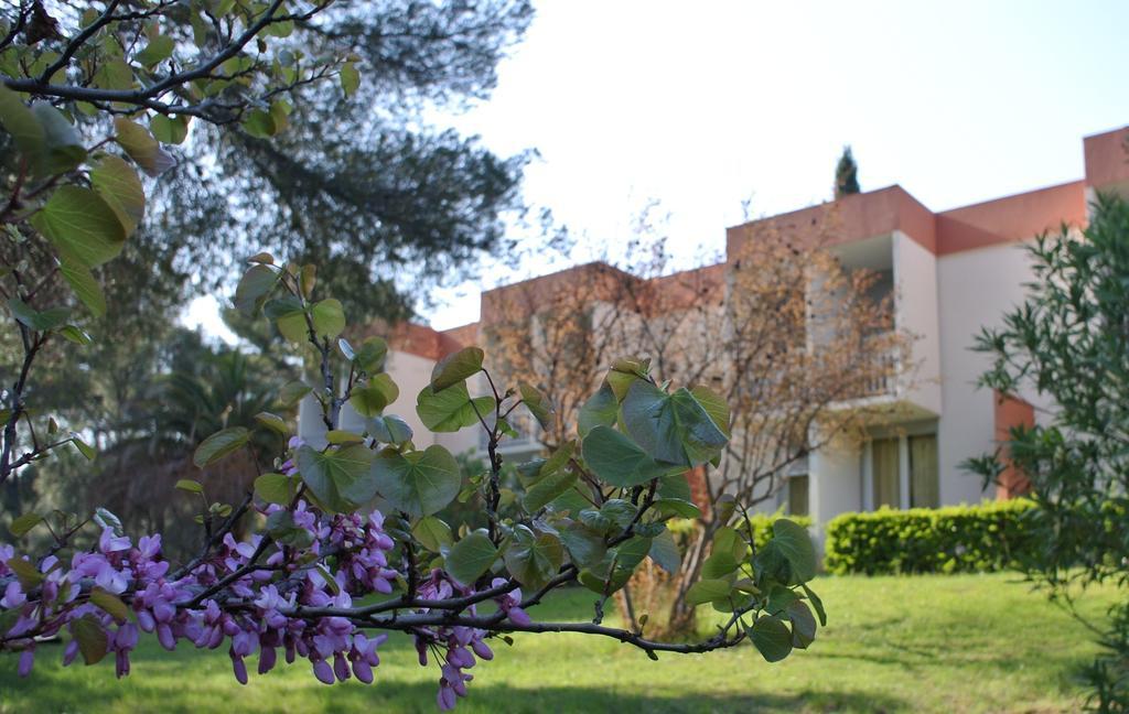 Le Domaine Des Oliviers Saint-Cyr-sur-Mer Exterior foto